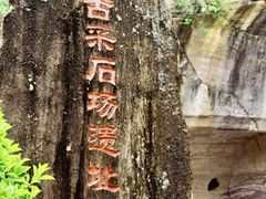 -广州莲花山旅游区