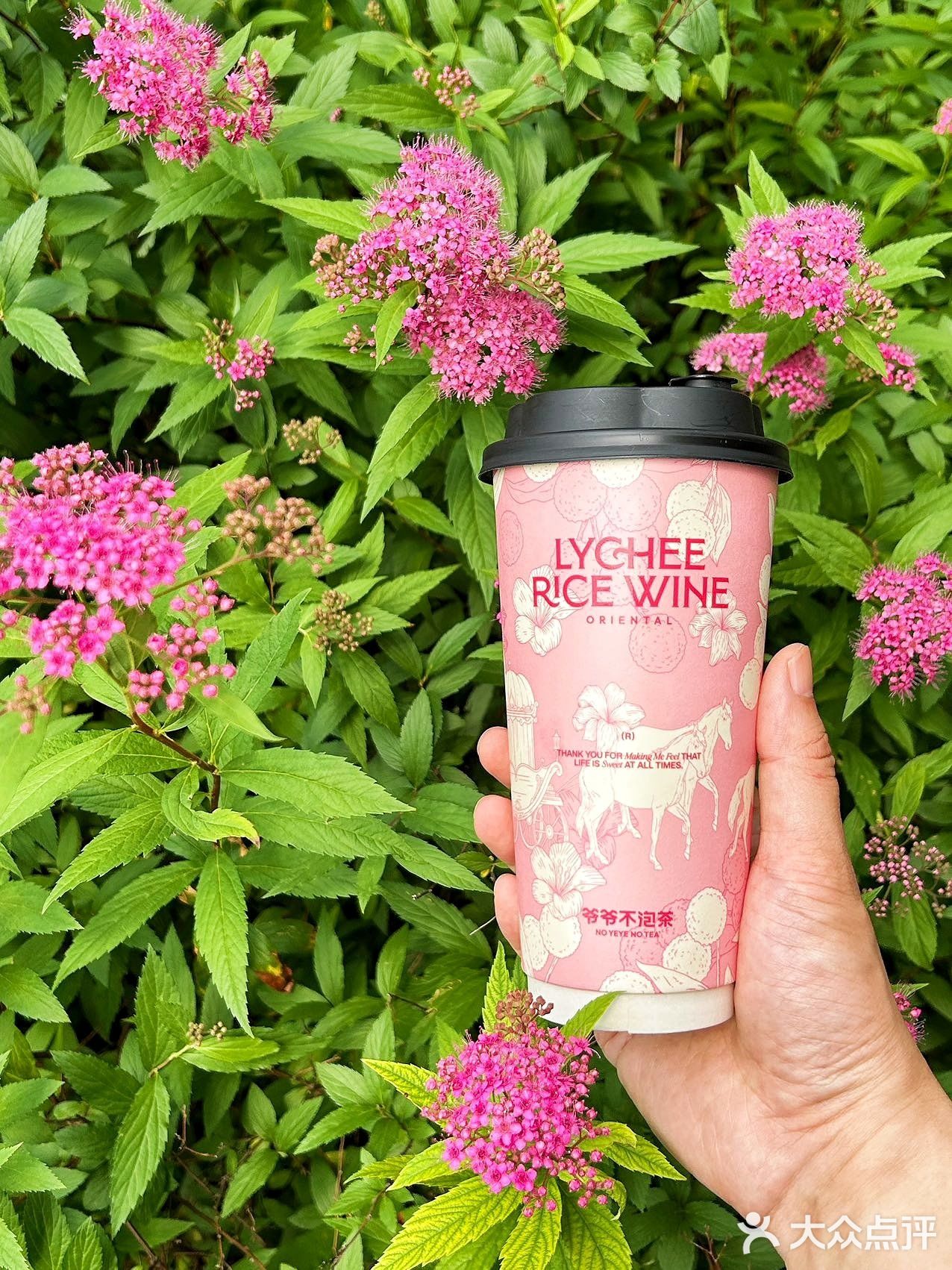 一城一花一杯茶🥤！