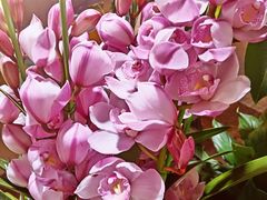 -燕莎奥特莱斯购物中心