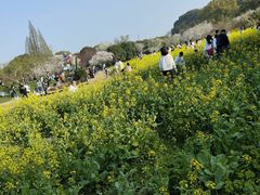 -苏州上方山国家森林公园