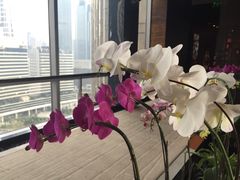 -广州富力君悦大酒店·关系酒廊