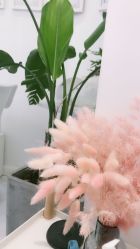 -紫御国际抗衰ZOE ANTI AGING