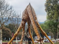 -海兰云天度假区温泉