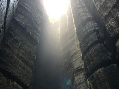 -梦幻奥陶纪景区