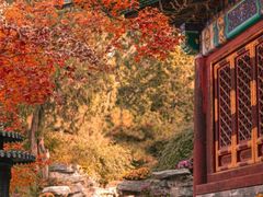 -香山公园