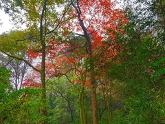 -青城山