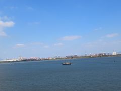 -大湾区中央湿地公园