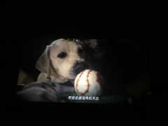 -百丽宫影城(CGS激光苏宁广场店)