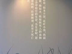 -北京鲁迅博物馆(北京新文化运动纪念馆鲁博馆区)