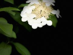 -九里河湿地公园