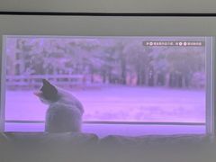 -JMGO坚果投影(长宁龙之梦店)