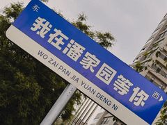 -潘家园(地铁站)