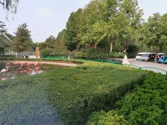 -石家庄市动物园