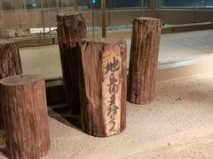 -元代水闸遗址博物馆