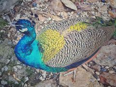 -南京金牛湖风景区