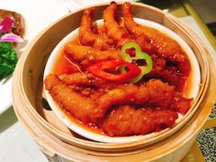 -南枝记