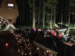 -黄海国家森林公园