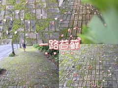 -芜湖方特旅游度假区
