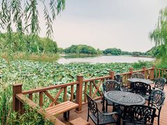 -上海市保健医疗中心