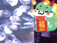 -欢乐海岸海洋奇梦馆