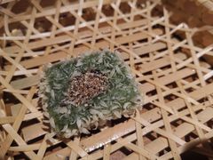 -举炊·寻湘记·新鲜现炒(临平西子国际店)