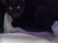 -达爱动物医院·犬猫分区·CT·复杂眼科(远洋山水分院)