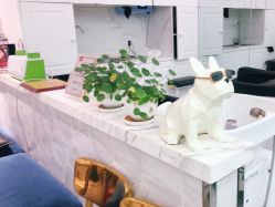 -潘多拉Hairsalon