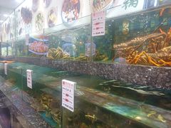 -宝燕壹号(徐汇店)