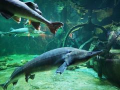 -华夏文旅海洋公园