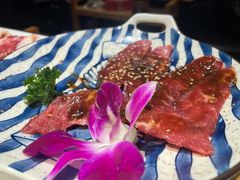 -千寻山野烤肉(天虹店)