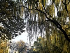 -玲珑塔公园