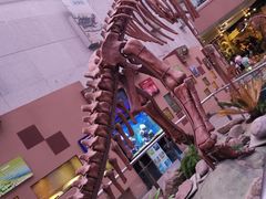 -陕西自然博物馆