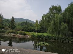 -习家池