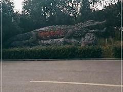 -中国扬子鳄村