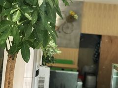 -轻茶里(万象新城店)
