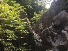 -陶祖圣境风景区