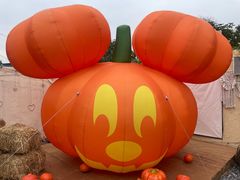 -HERRE·FARM 赫尔露营农场·团建聚会包场