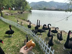-长田漾湿地公园