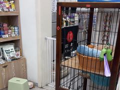 -四月宠物医院·猫专科·心脏专科·内科(转塘店)