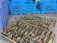 -丫丫蟹庄·苏式园林农家乐·阳澄湖大闸蟹(阳澄湖莲花岛店)