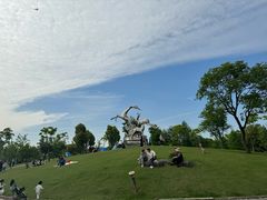 -广富林郊野公园