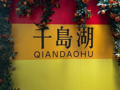 -千岛湖东南湖区