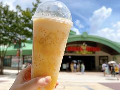 -迪士尼小镇