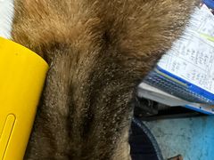 -协和菜馆(凤凰街店)