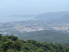 -三亚亚龙湾人间天堂鸟巢度假村