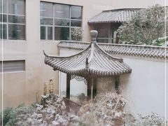 -上海交通大学医学院附属仁济医院(南院)