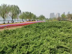 -咸阳湖景区