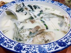 -全乐鱼馆·淳牌有机鱼直营店