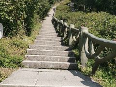 -梧桐山风景名胜区