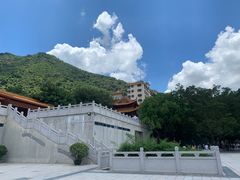 -深圳仙湖植物园